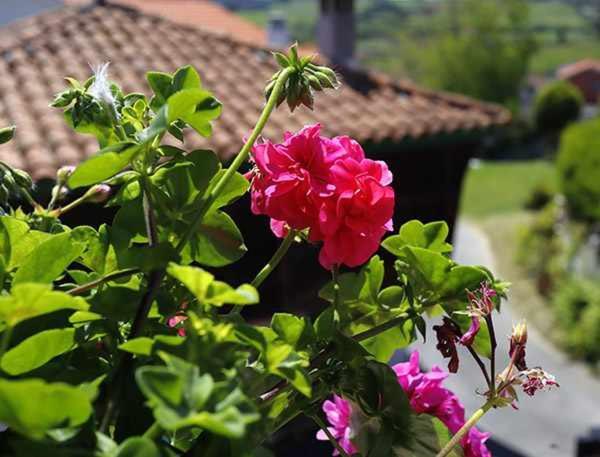 Casa Rural La Tayuela Luanco Zewnętrze zdjęcie